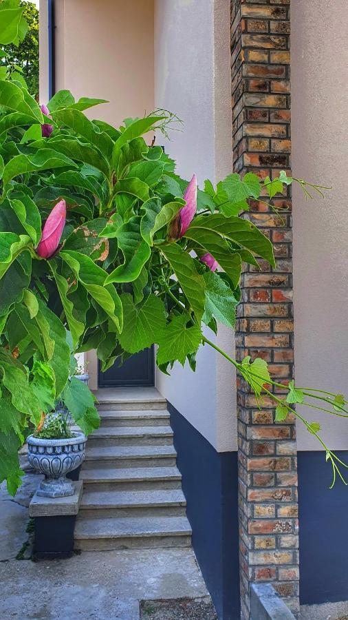 Castello Inn Smederevska Palanka エクステリア 写真