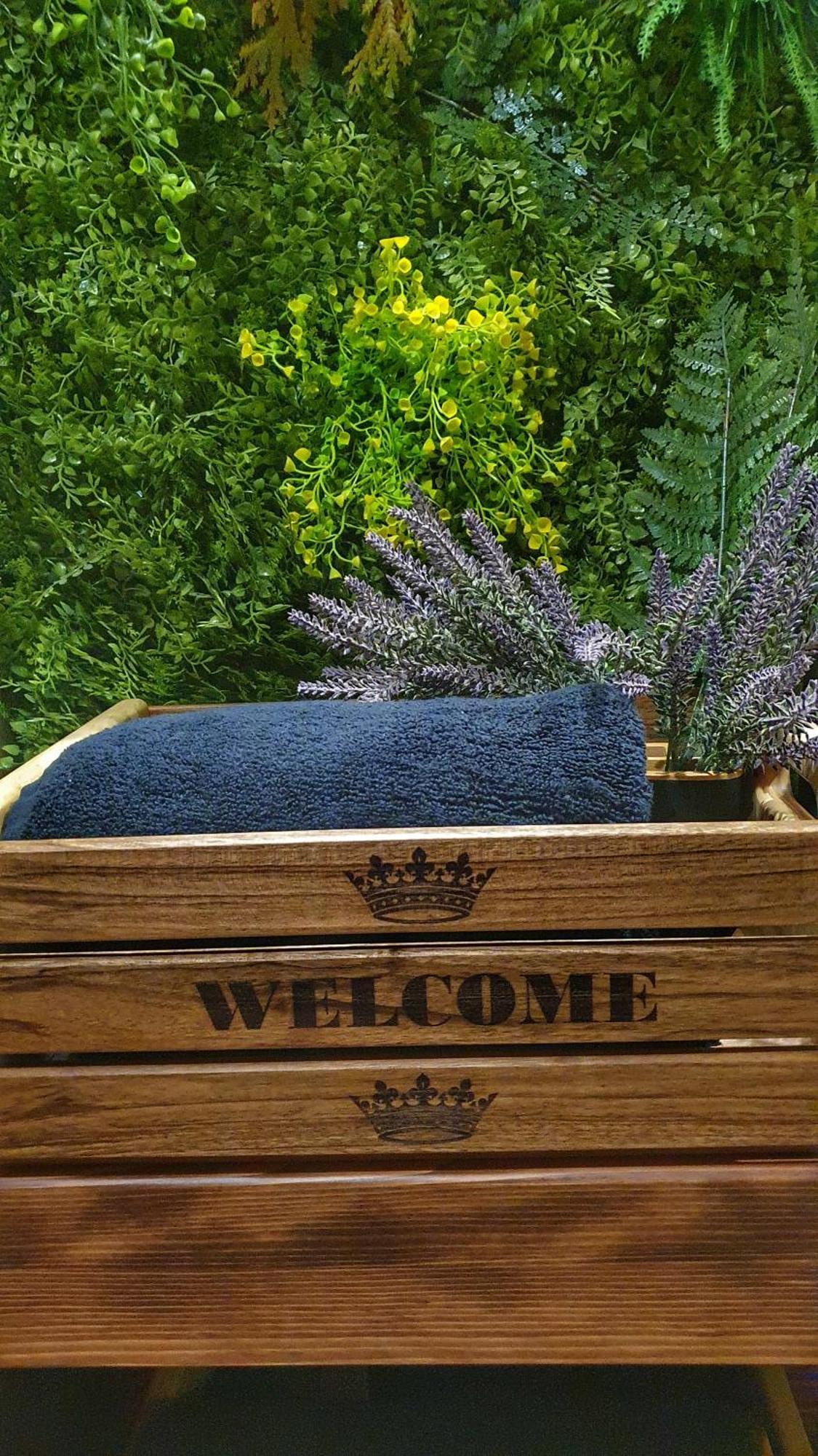 Castello Inn Smederevska Palanka エクステリア 写真